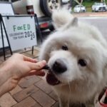 Fred Eatery 11 150x150