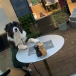 Fred Eatery 12 150x150