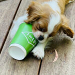 Fred Eatery 14 150x150