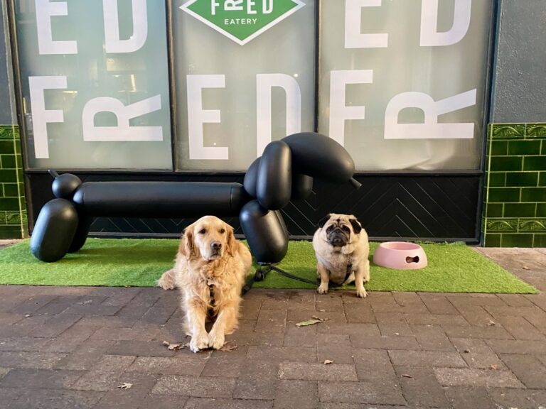 Fred Eatery 15 768x576