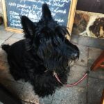 Kitchen 2c 4 150x150