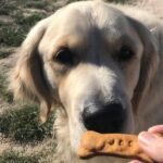 Olive Branch Cafe 11 150x150