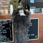 Sidetrack 13 150x150