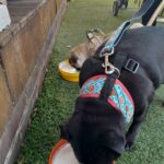 Sidetrack 14 150x150