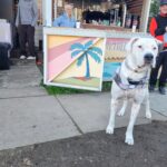 Sidetrack 15 150x150