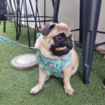 Sidetrack 17 150x150