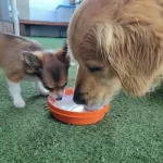 Sidetrack Coffee 4 150x150