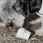 The Birch 12 150x150