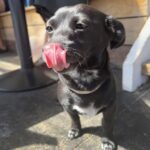 The Happy Wife 3 150x150