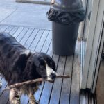 Fels Kitchen 2 150x150