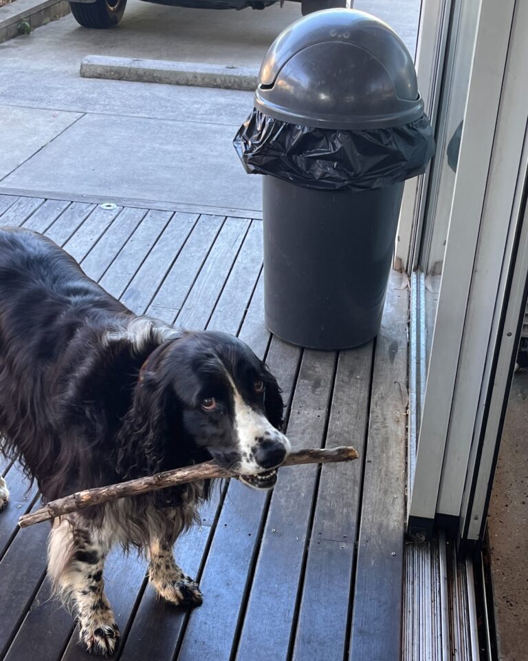 Fels Kitchen 2 768x960