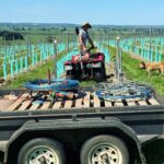 Fleet Wines 3 150x150