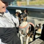 Ocean View Hotel Kilcunda 2 150x150