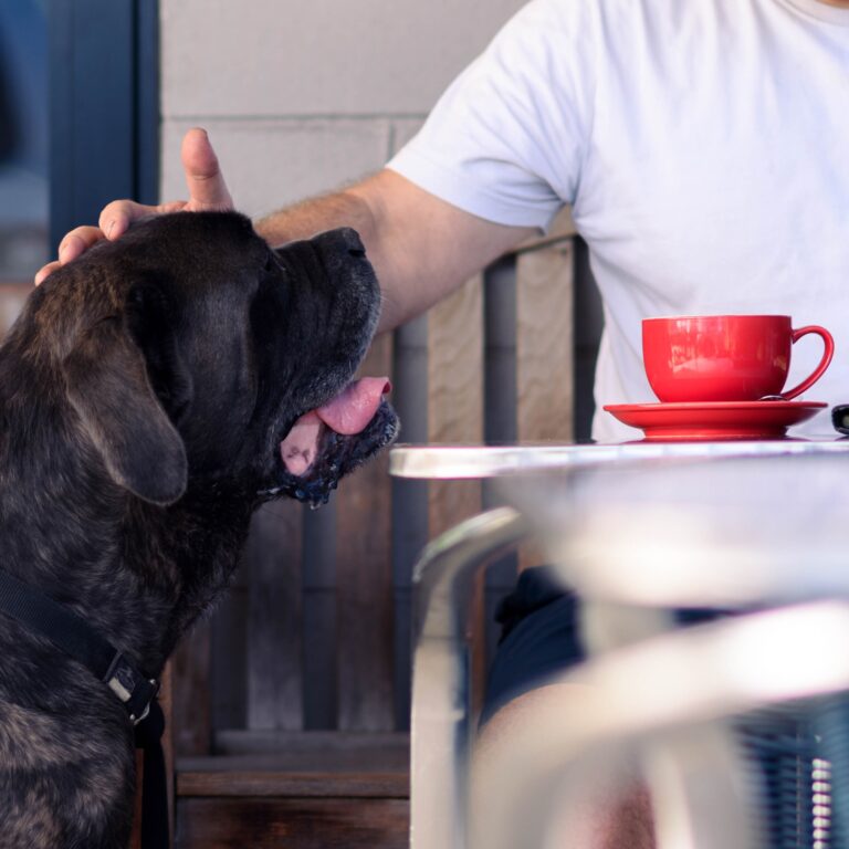 Sipping Duck 2 768x768