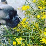 The Marron Tale 7 150x150