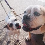 Cafe Kirra 1 150x150