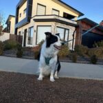 Chifley Grocer 2 150x150