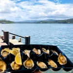 Oyster Shed 2 150x150