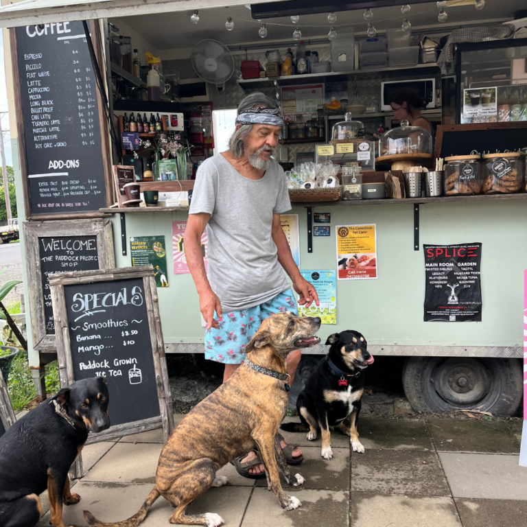 Paddock Project 100 768x768