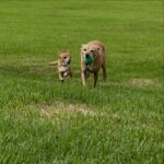 The Marron Tale Farm 12 3 150x150