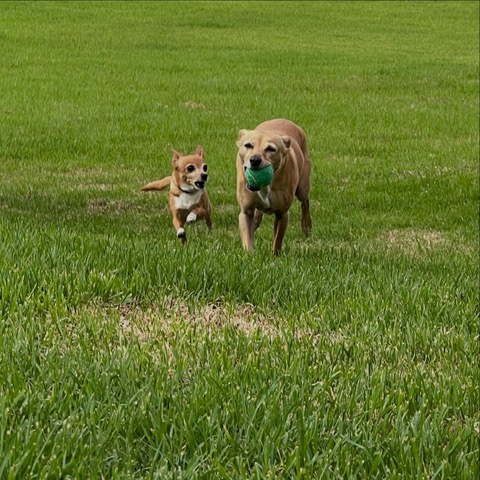 The Marron Tale Farm 12 3