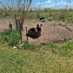 Bamboo Park 5 150x150