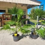 Bamboo Park 6 150x150