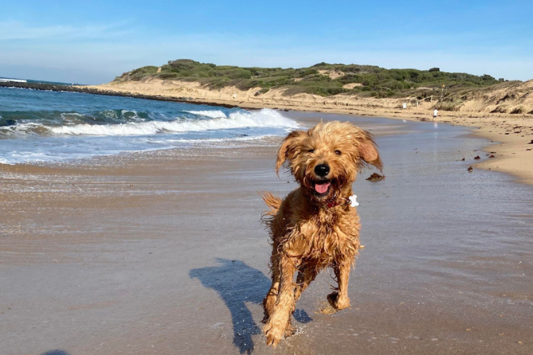 Bellarine Peninsula Hero Mobile