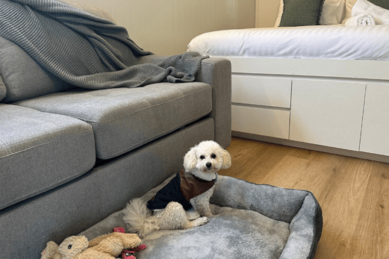 Bellinger River Tourist Park 4 900600 12 768x512