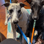 Brewhouse Cafe 12900600 11 150x150