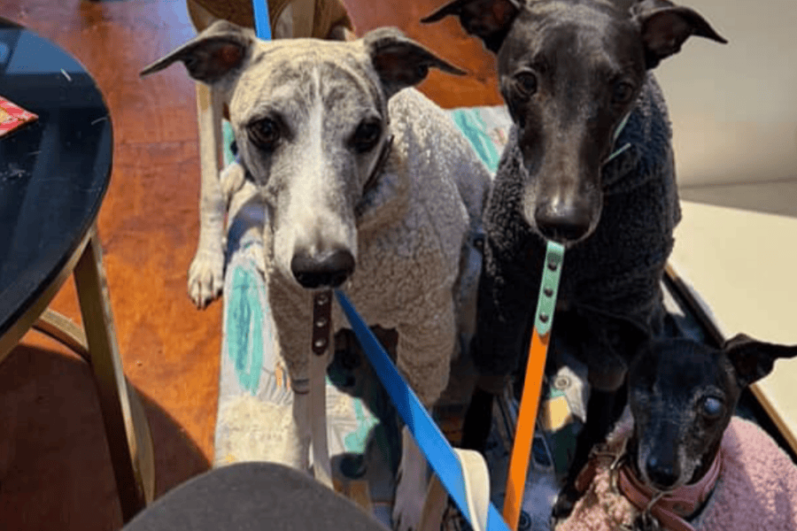 Brewhouse Cafe 12900600 11