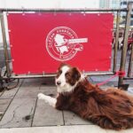 Brewhouse Cafe 4 150x150