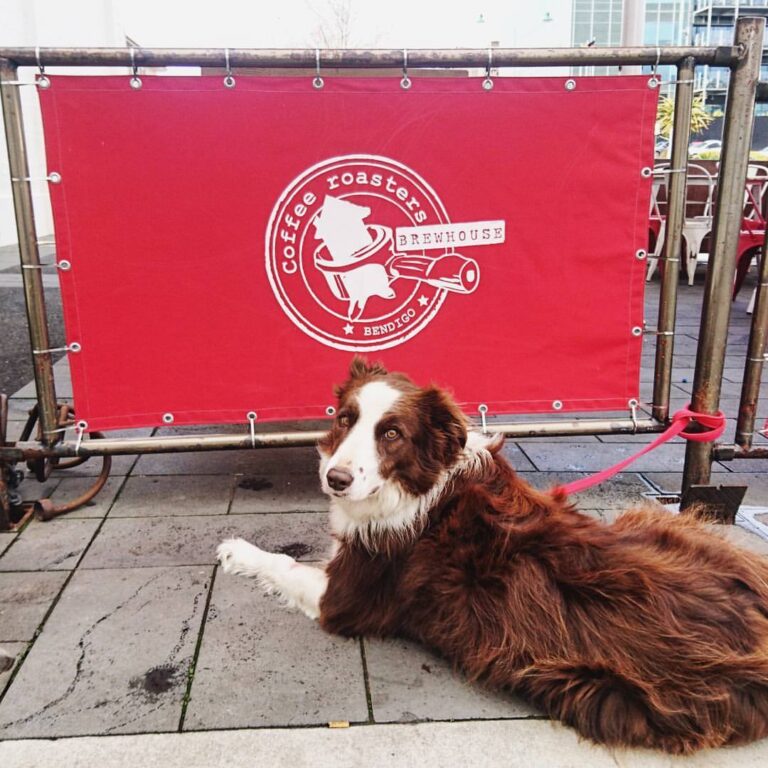 Brewhouse Cafe 4 768x768