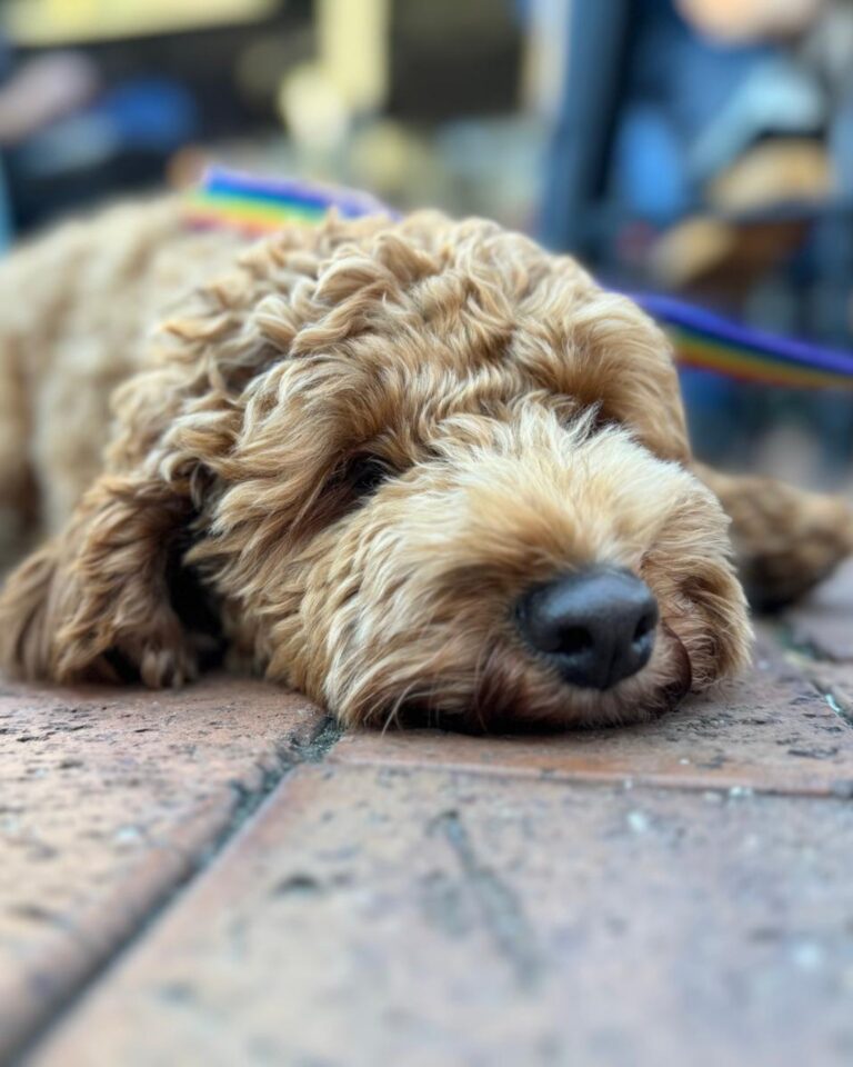 Crafty Robot Brewing 1 768x960