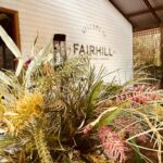 Fairhill 7 150x150