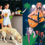 Matsos SC 900600 11 150x150