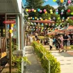 Matsos Sunshine Coast 10 150x150