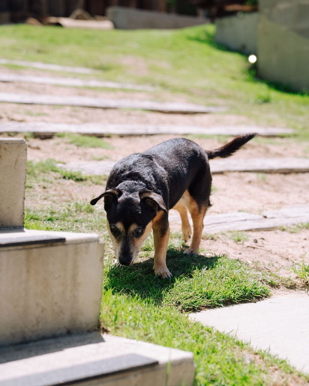 Matsos Sunshine Coast 2