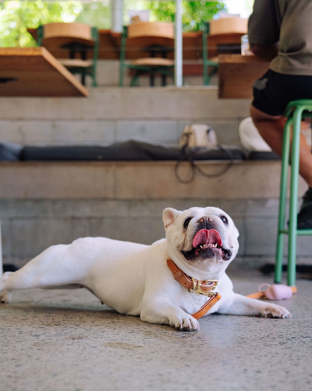 Matsos Sunshine Coast 3