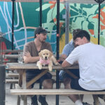 Matsos Sunshine Coast 7 150x150