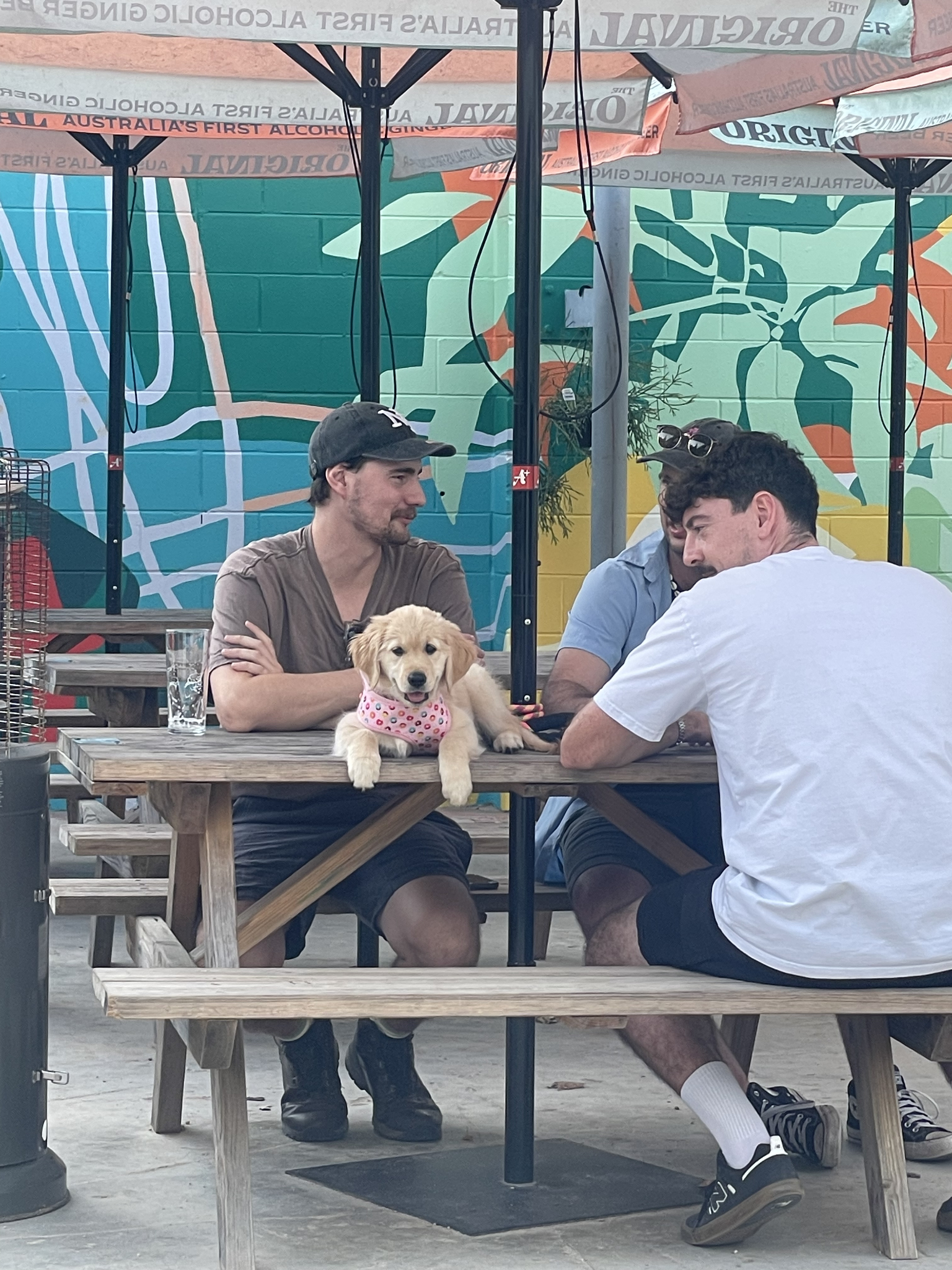 Matsos Sunshine Coast 7