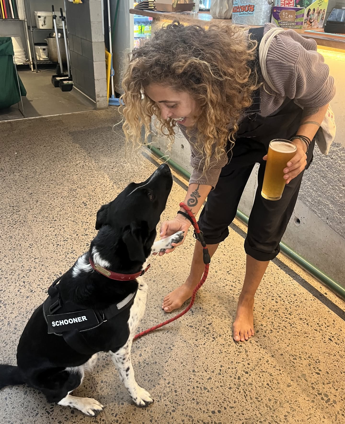 Matsos Sunshine Coast 9