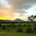 Orchard Cottage 31 150x150