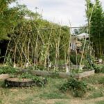 Orchard Cottage 32 150x150