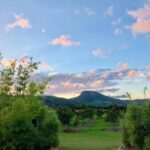 Orchard Cottage 53 150x150