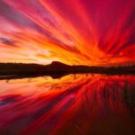 Orchard Cottage 59 150x150