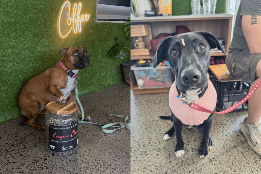 Rock Hop 20 900600 12