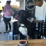 Screenshot 2026 01 05 at 11.51.12 150x150