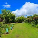 Stylish Studio 14 150x150