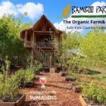 Stylish Studio 27 150x150